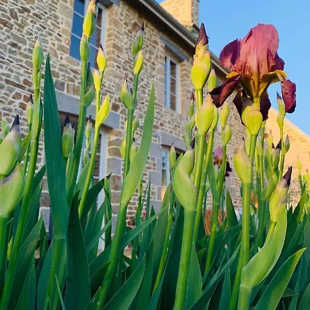 Apartamento De La Plage, La Baie Du Mont-saint-michel, Sauna