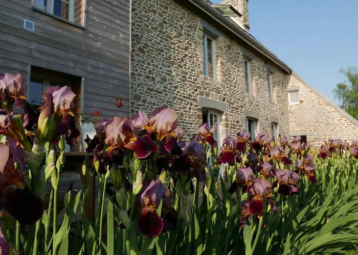 Daire De La Plage, La Baie Du Mont-saint-michel, Sauna Dragey