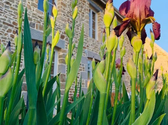 Lejlighed De La Plage, La Baie Du Mont-saint-michel, Sauna